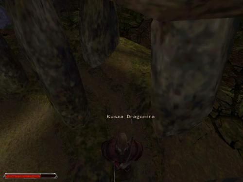 Gothic 2 001022,5